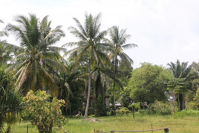 ThailandFerie (294)