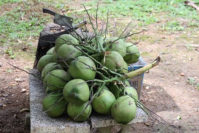 ThailandFerie (326)