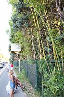 IMG 6777