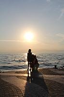 IMG 6781