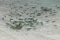ThailandFerie (122)