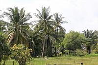 ThailandFerie (294)