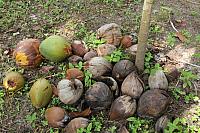 ThailandFerie (304)