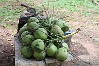 ThailandFerie (326)
