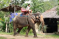 ThailandFerie (335)