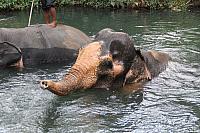 ThailandFerie (370)