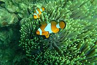 ThailandFerie (533)