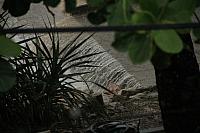 ThailandFerie (65)