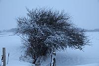 IMG 0173